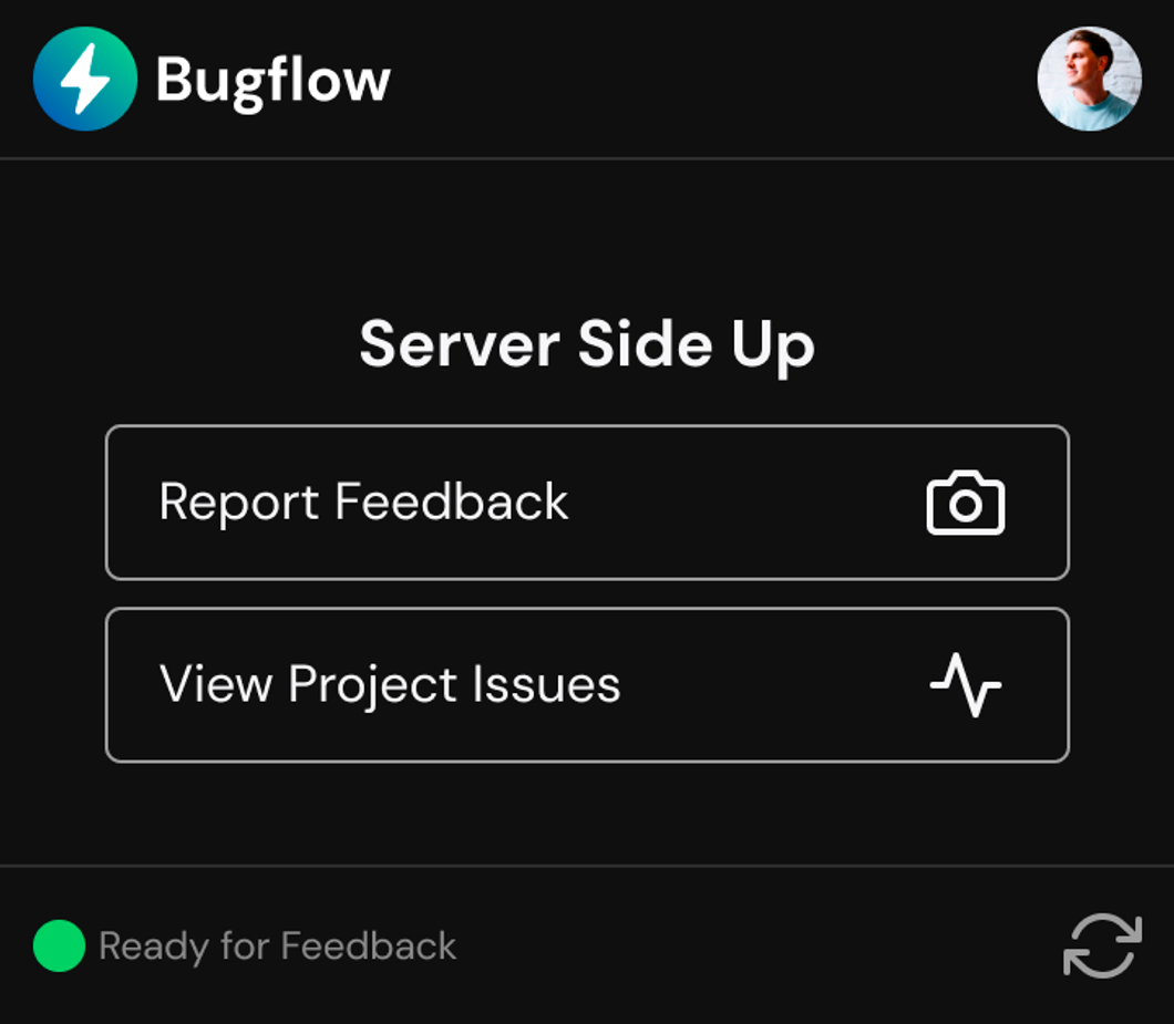 Bugflow browser extension popup when a URL is detected