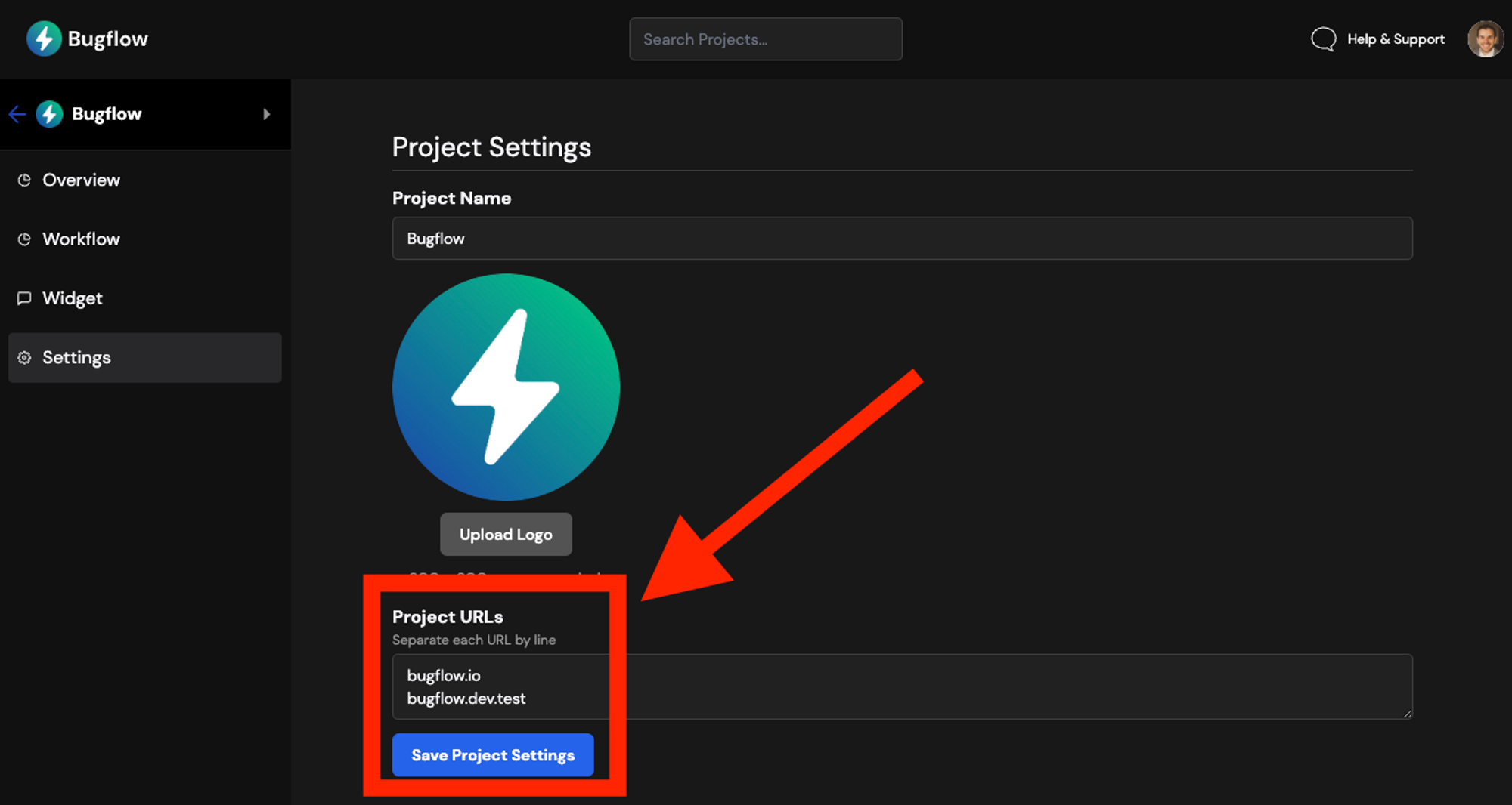 Project URL configuration in Bugflow