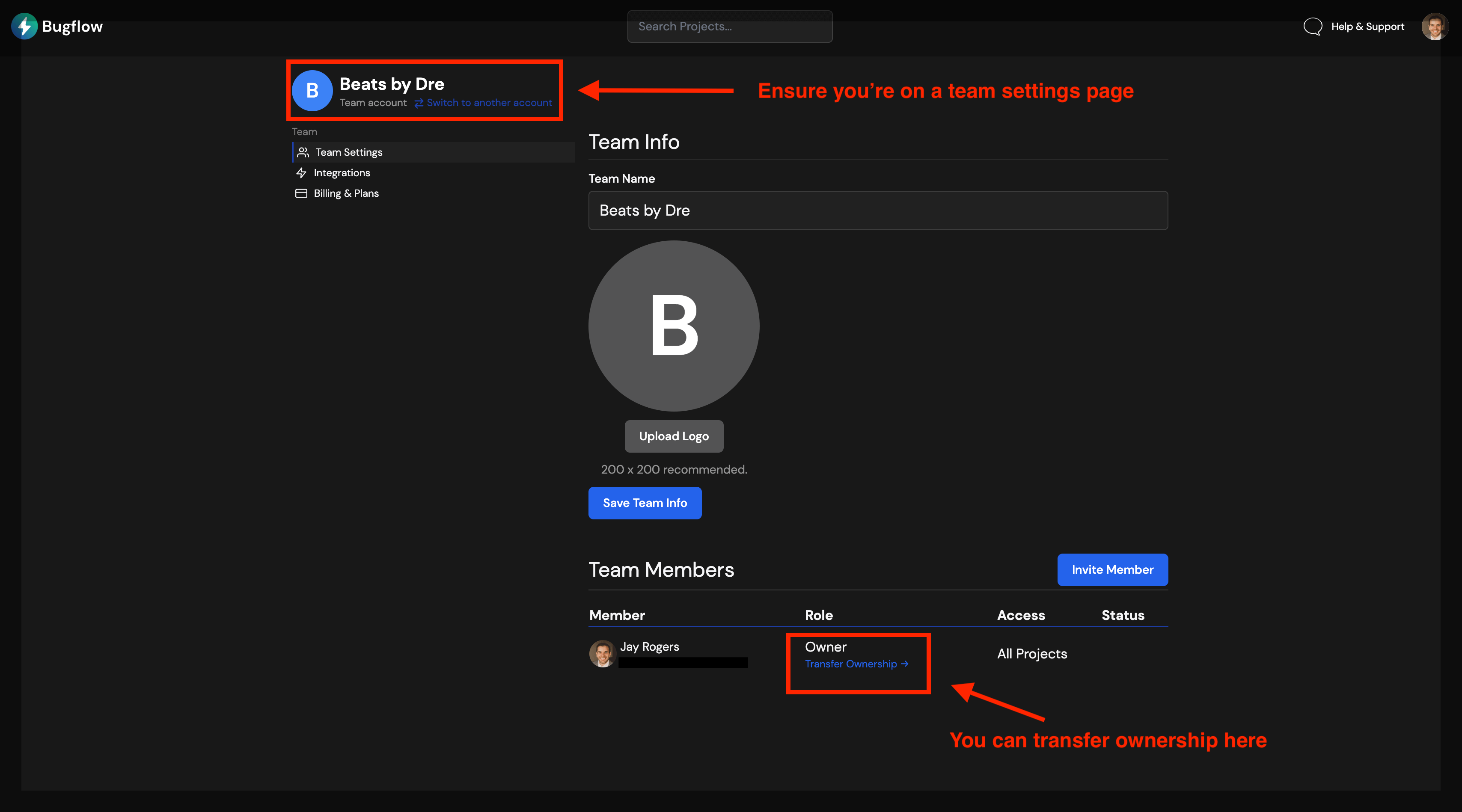 Bugflow Team Settings